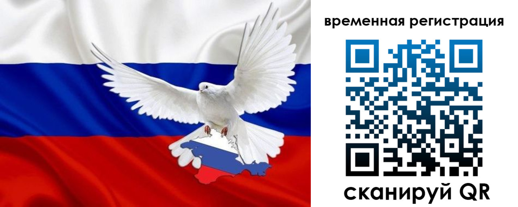 прописка законно в Мариинском Посаде